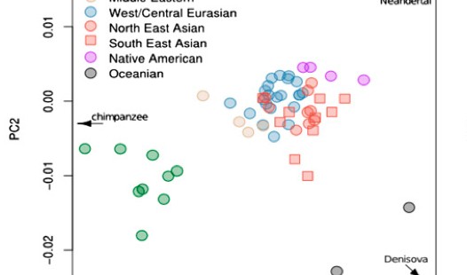 American Indians, Neanderthals and Denisovans: Insights from PCA Views