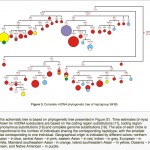 The Origin of mtDNA haplogroup B: 9-bp deletion in America, Asia and Africa