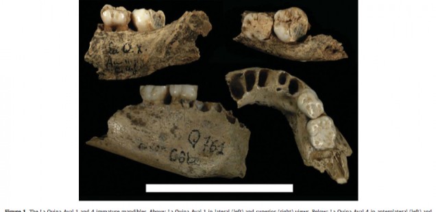 Early Aurignacian Dentition and Why Paleontology Is a Moving Target