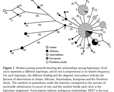 Molecular Variability of the 16p13.3 Region in American Indians