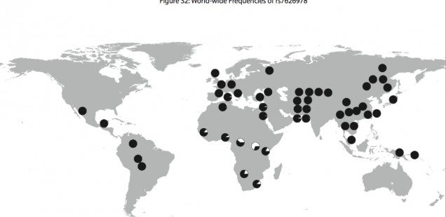 The Pygmy Enigma: Biology, Population Genetics and Linguistics