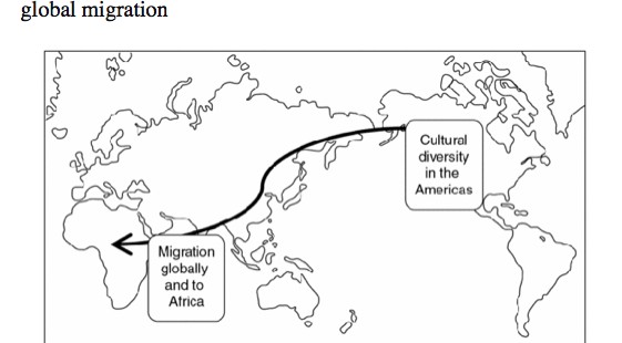 Barnard on Dziebel: Social Anthropology Meets Human Origins