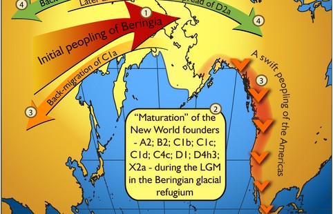 Dene-Yeniseian Language Family: Evidence for a Back-Migration to the Old World?