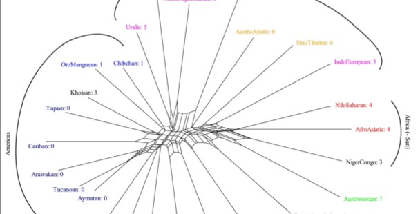 Stability vs. Diversity: A Novel Method for Analyzing Worldwide Linguistic Structures