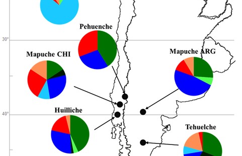 mtDNA from the South Cone of South America