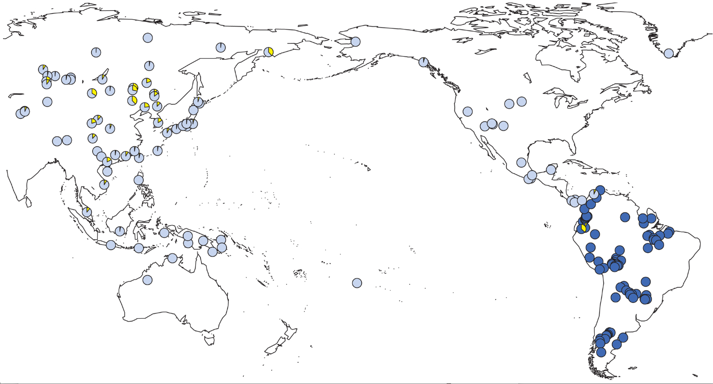 Anthropogenesis-Roewer-Map copy