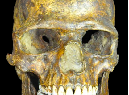 Ancient Kostenki 14 (Markina Gora) DNA: A Glimpse into a Population on Its Way from America to Africa