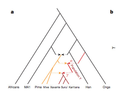 Amerindians Are Even More Genetically Diverse and Older Than You Thought