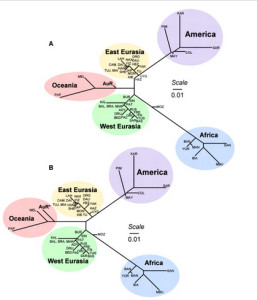 Anthropogenesis-OldPhylogeny copy