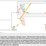 Ancient Jomon DNA and the Specter of European Admixture in Amerindians