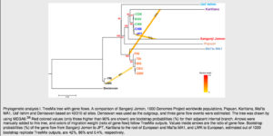 anthropogenesis-jomontreemix-copy