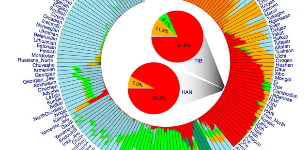 Data Visualization in Population Genetics: Admixture and Phylogeny