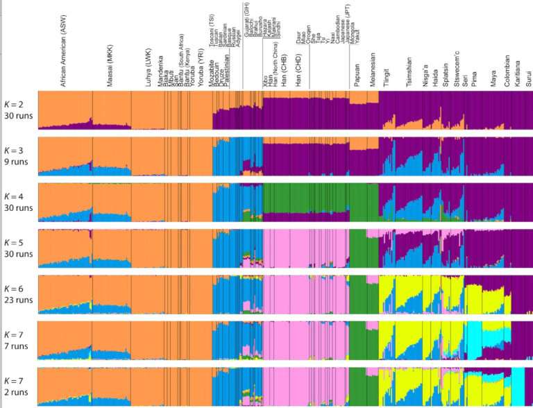 Data Visualization In Population Genetics Admixture And Phylogeny